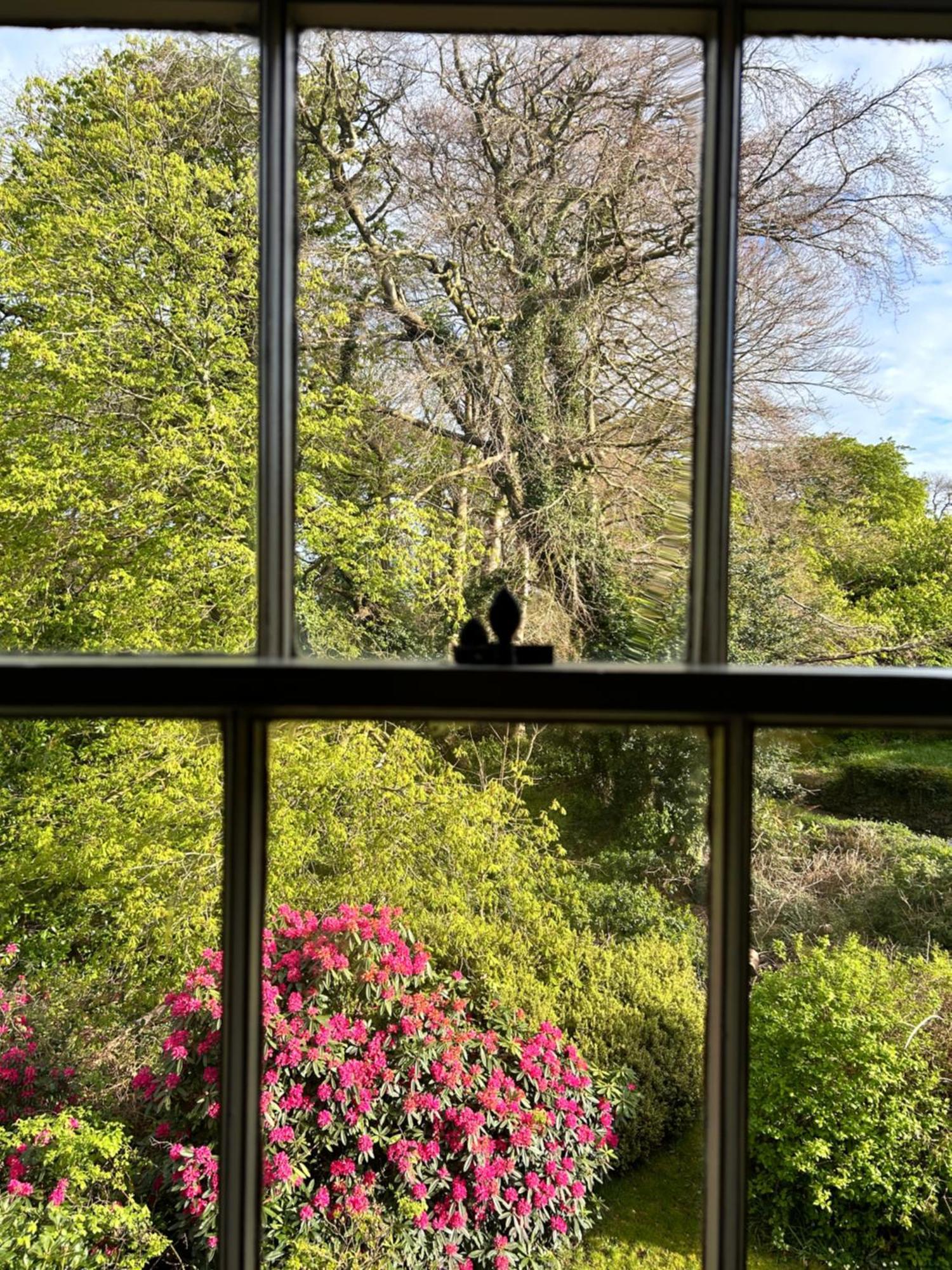 Ashville Georgian House Killinchy エクステリア 写真